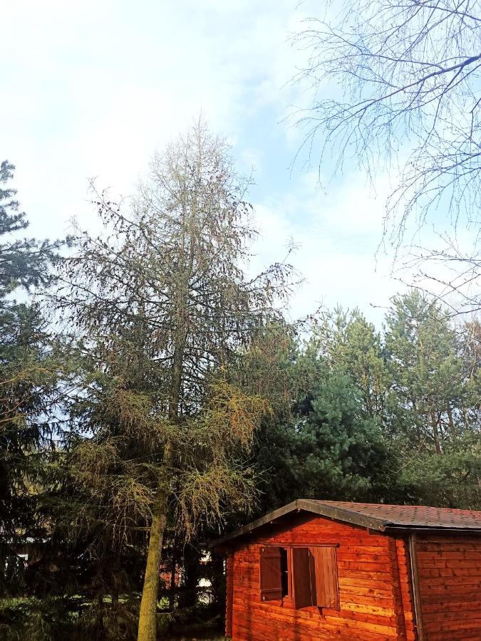 Ferienhaus Dom 2-natura, Relaks, Jacuzzi, Akwen Jeziorsko Strachocice-Kolonia